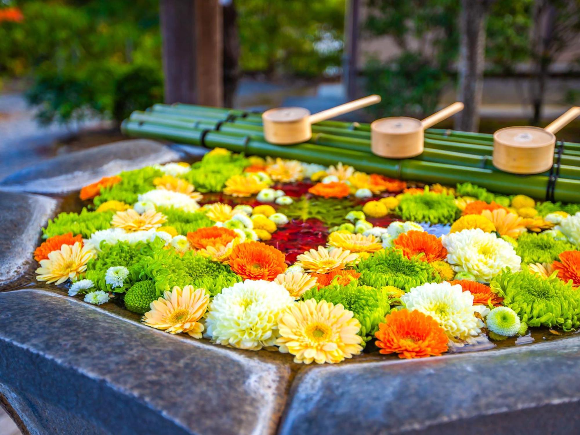 The Machiya Ebisuya Hotel Kyoto Ngoại thất bức ảnh