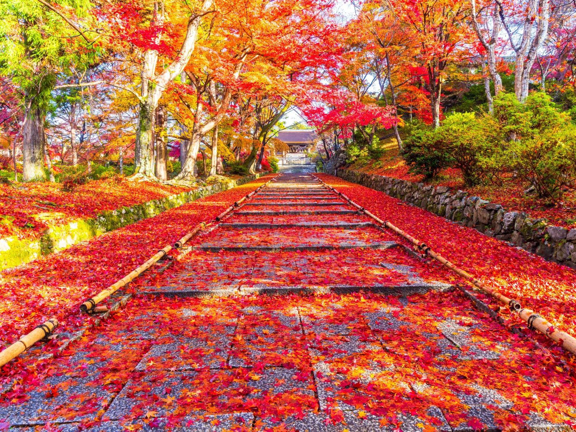 The Machiya Ebisuya Hotel Kyoto Ngoại thất bức ảnh